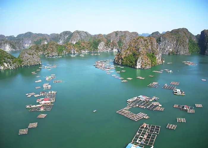 Indochine Cruise Lan Ha Bay 5*